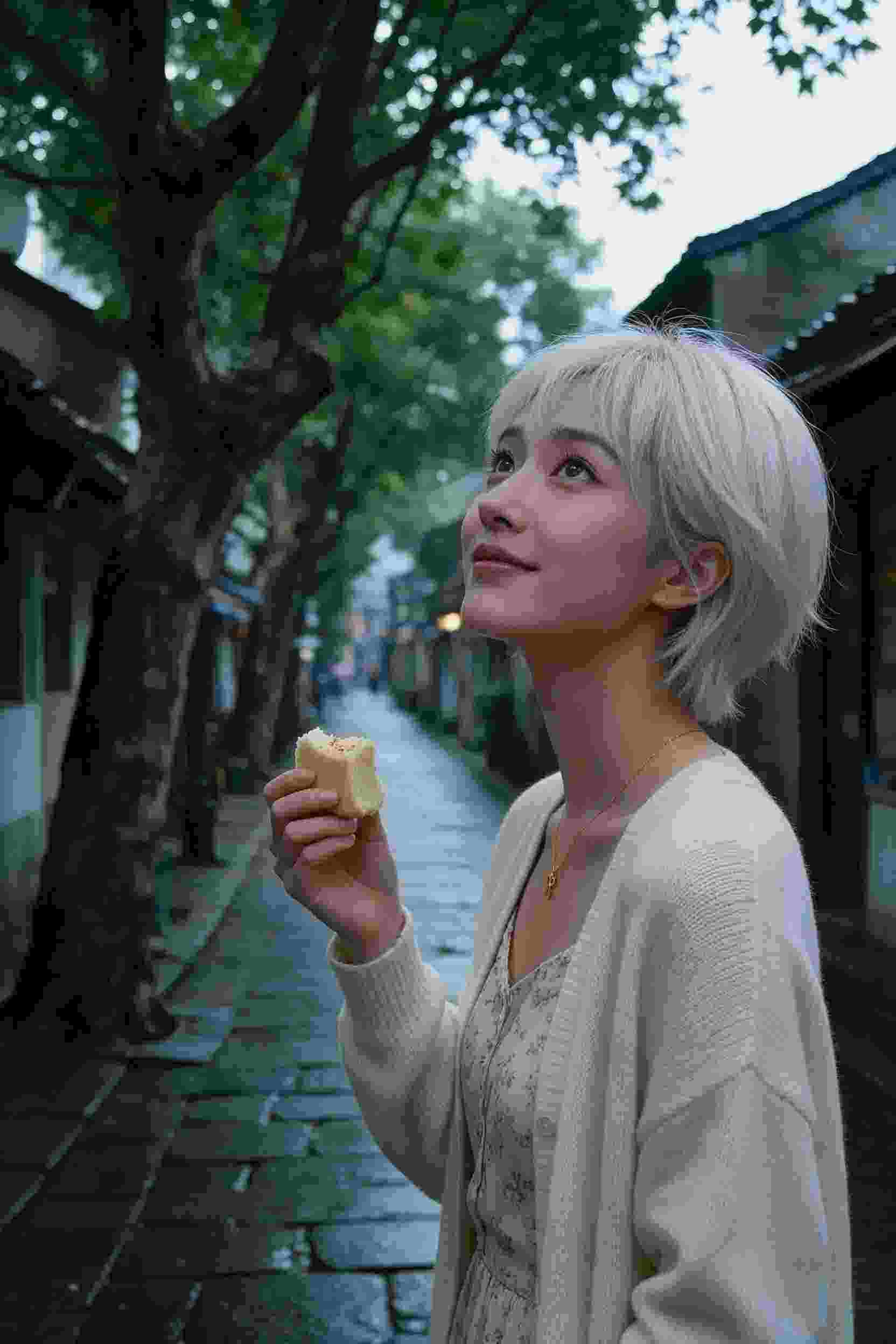 动漫卡片