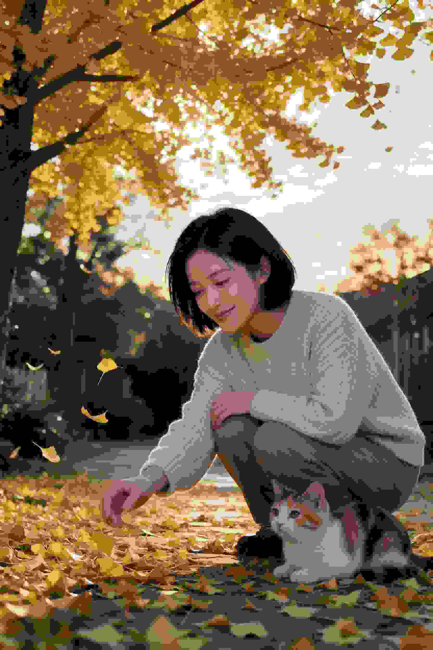 动漫卡片